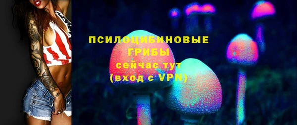 ПСИЛОЦИБИНОВЫЕ ГРИБЫ Медвежьегорск