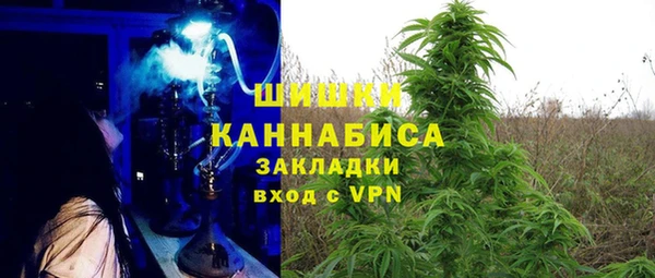 амф Медногорск