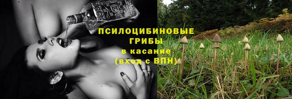 ПСИЛОЦИБИНОВЫЕ ГРИБЫ Медвежьегорск