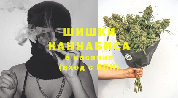 ПСИЛОЦИБИНОВЫЕ ГРИБЫ Медвежьегорск