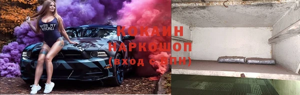 ПСИЛОЦИБИНОВЫЕ ГРИБЫ Медвежьегорск