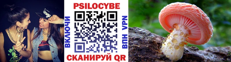 Галлюциногенные грибы Psilocybe  Нижняя Тура 