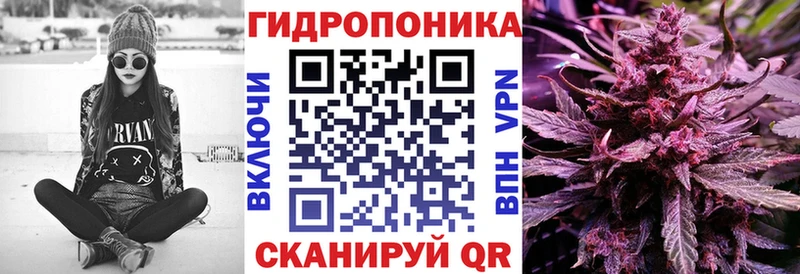 Бошки марихуана семена  магазин  наркотиков  Нижняя Тура 